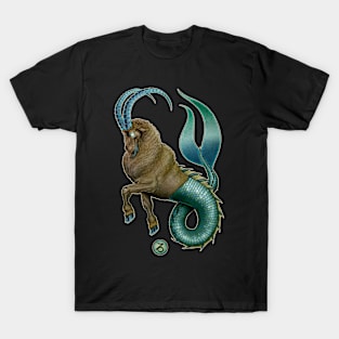 Capricorn Astrology T-Shirt